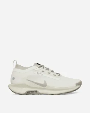 Pegasus Trail 5 GORE-TEX Sneakers Summit White / College Grey