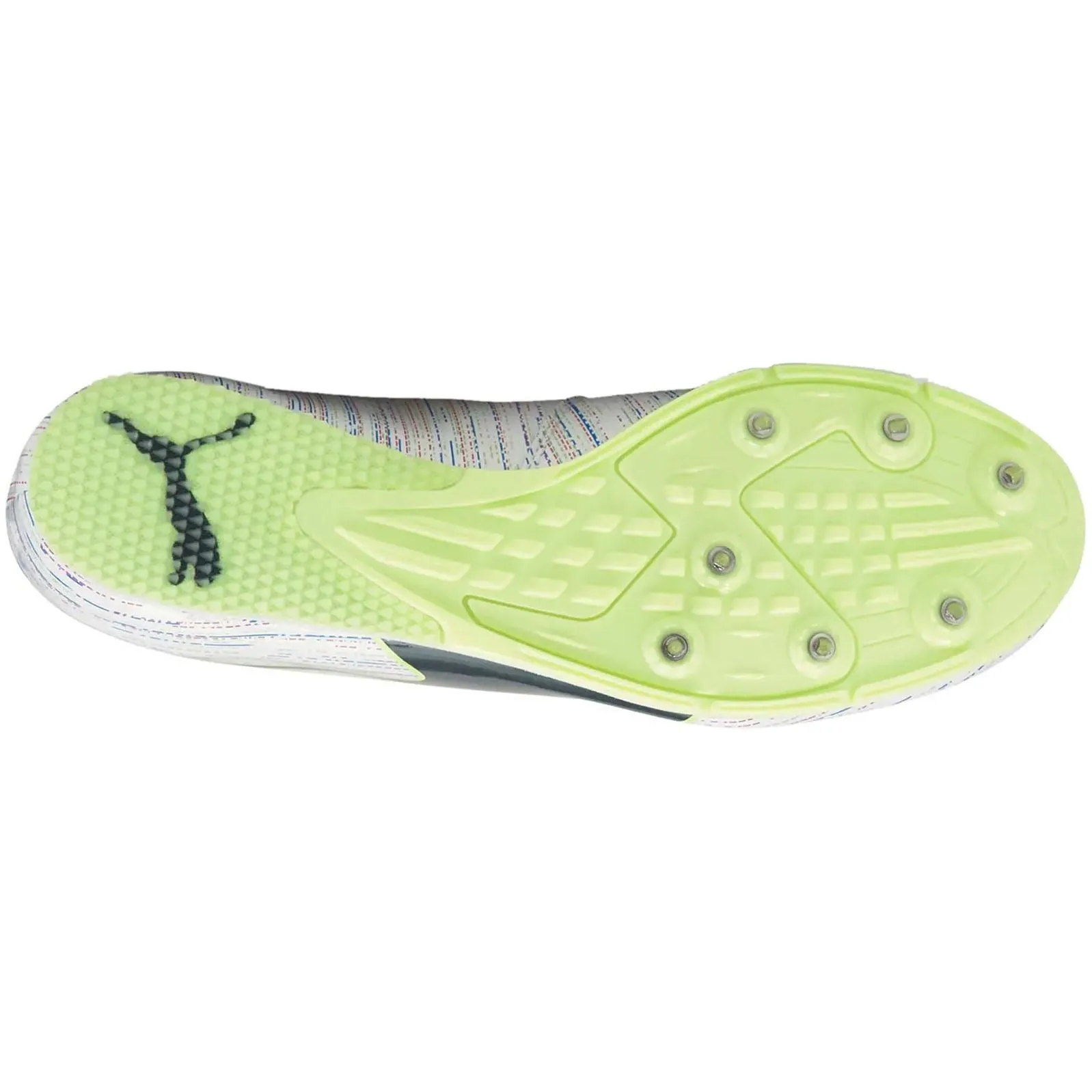 Puma evoSpeed Long Jump 9 Field Event Spikes - White